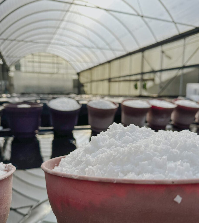 Artisanal Salt: A Legacy of Taste and Tradition