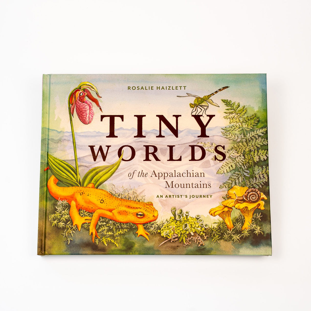 Tiny Worlds of the Appalachian Mountains by Rosalie Haizlett